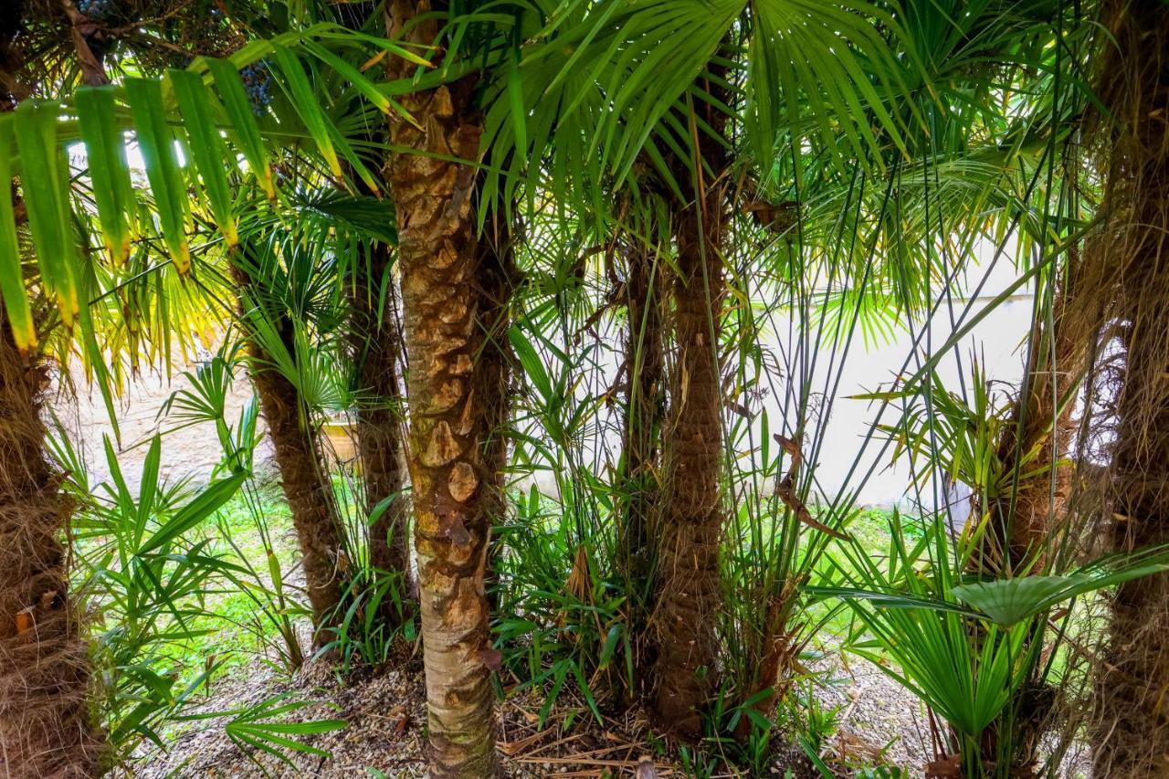 Appartement Le CORDON BLEU # Vieux-Cognac # Jardin Extérieur photo